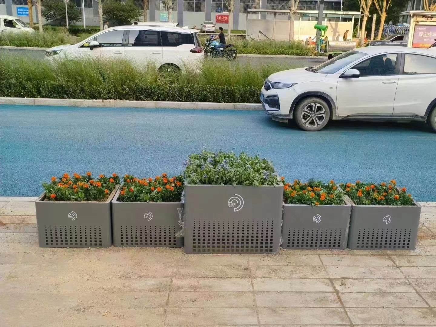 城市公园花箱